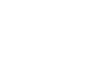 Lekane logo